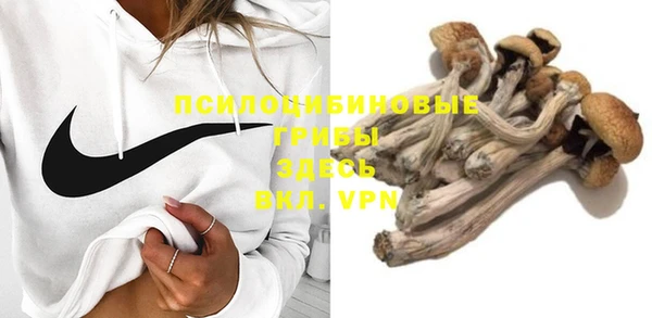 прущие крисы Нефтекумск