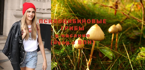 PSILOCYBIN Алексеевка