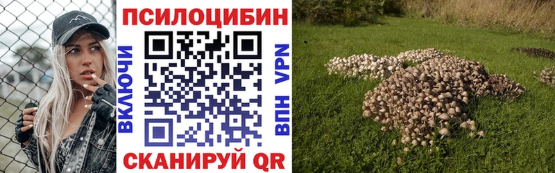 магазин продажи   Безенчук  Галлюциногенные грибы ЛСД 